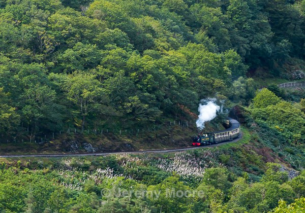 M305 - Snowdonia & Mid-Wales p/c catalogue