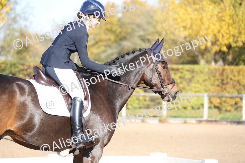 20251102-0752 - Class 4 - Novice 6