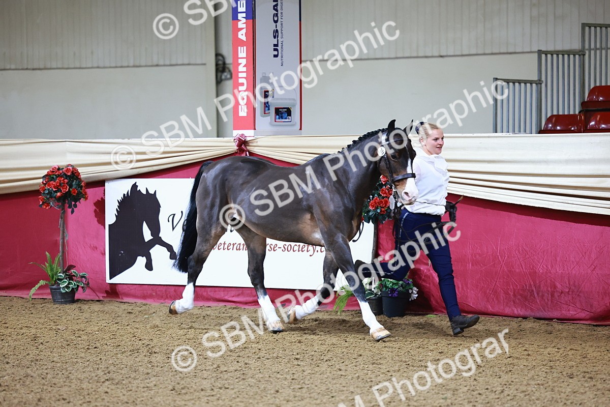 SBM_21666 - Class 901 - Supreme Final - IH  Diamond