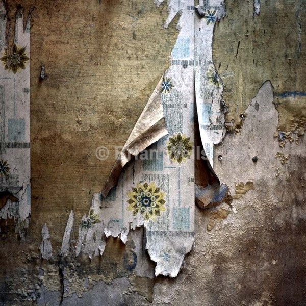Wallpaper. - Decor