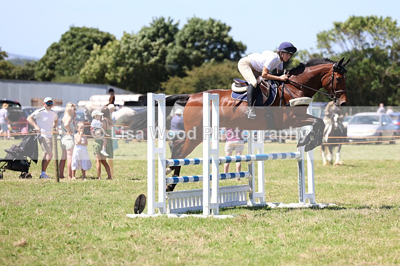 3E7A5481 - Class 9: Senior British Novice/90cm open