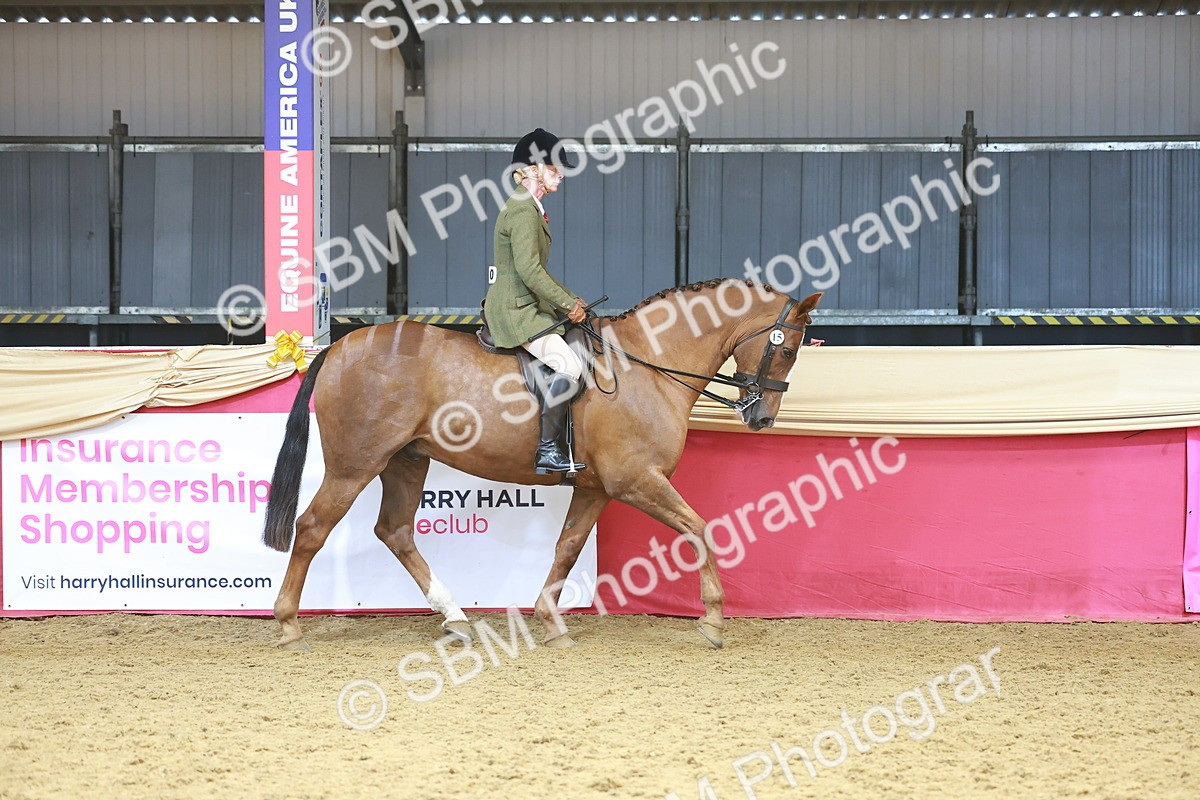SBM_12428 - Class 103 - HOYS Veteran Qualifier - Ridden Pre Vet