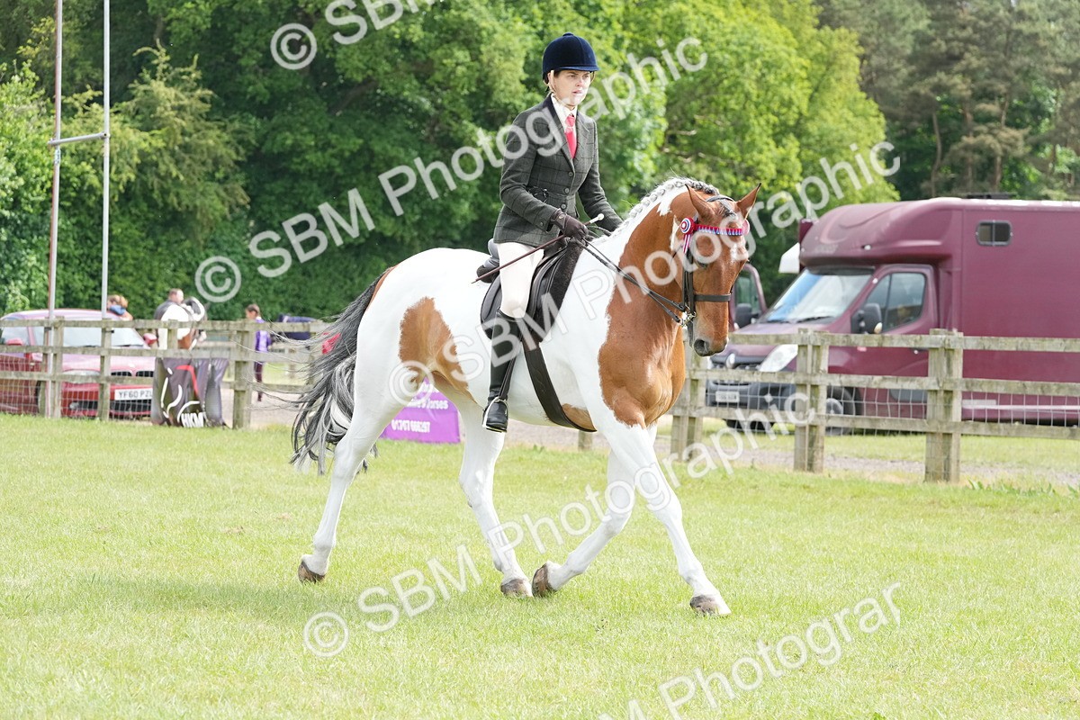 SBM_17570 - Class 107-108 - LIHS BSPS Performance Coloured Horse Pony