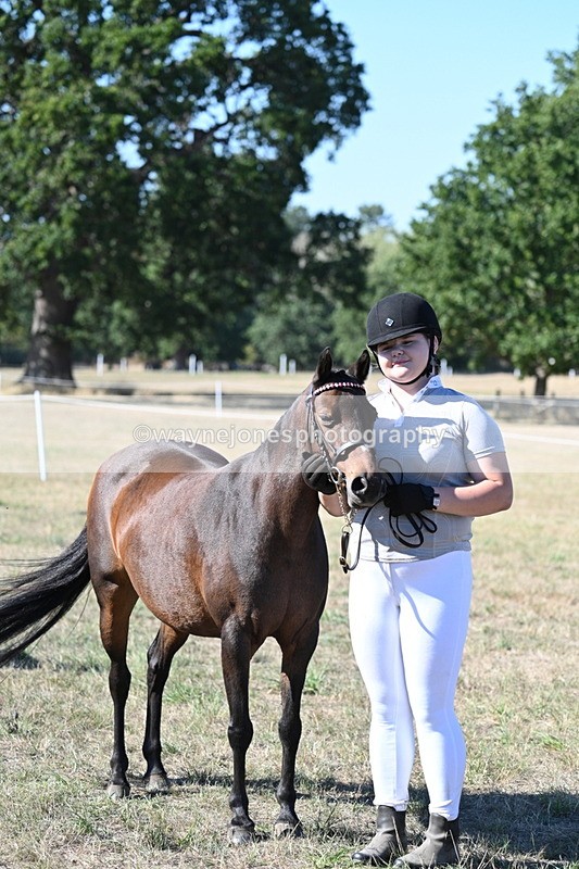 WJ7_2149 - Class 44 Child's Best Friend
