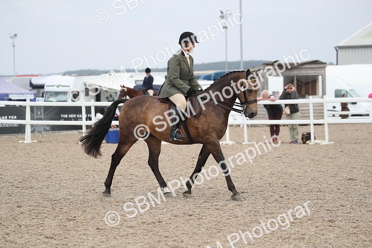 SBM_17389 - Class 315 Best Horse/Rider Combination
