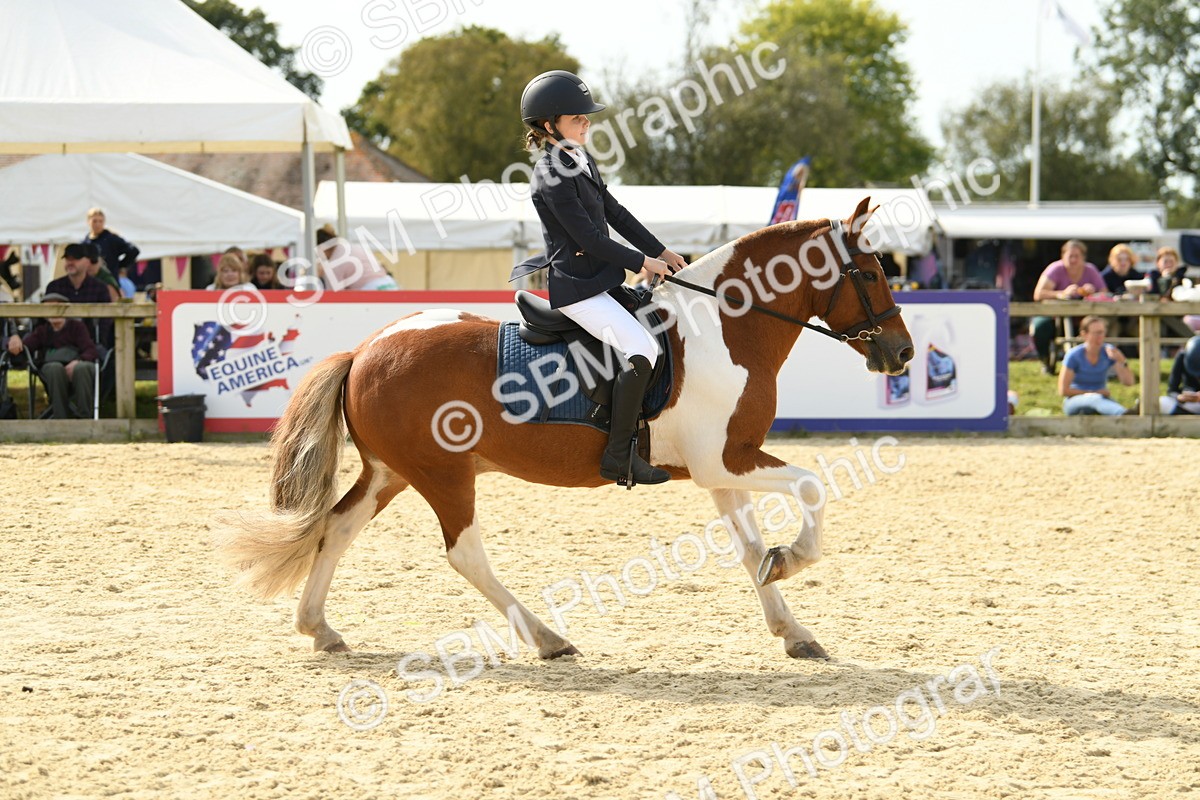 SBM_69303 - J15 - Junior Pony 70cm Championship