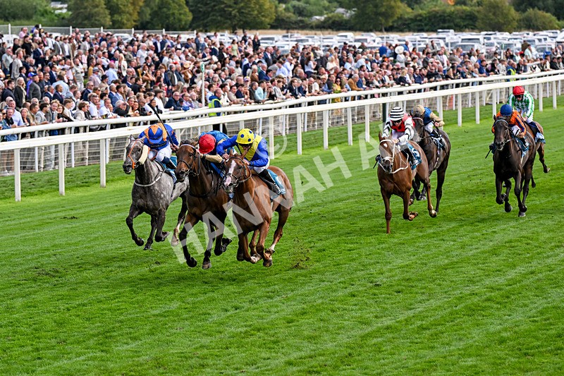 210826-Race 5-Plage De Havre-0292 - Race 5 16.10pm Assured Data Protection Handicap