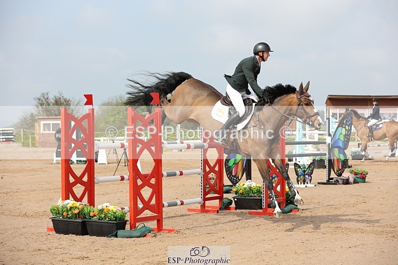 250424-103350-03095 - Cls 33 Young Horse 7yr old