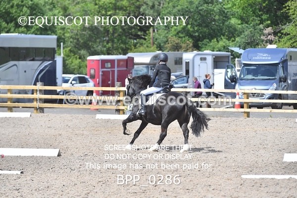 BPP_0286 - SHORT ARENA  MY QUEST PRELIM