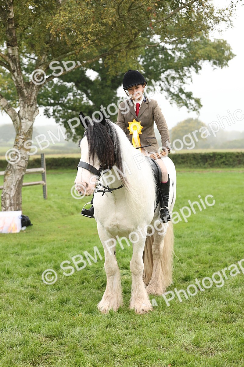 SBM_72864 - S70 - Traditional Cob Ridden