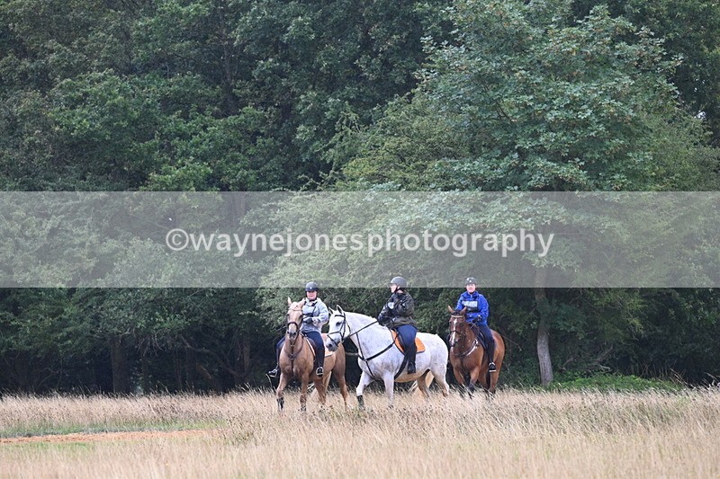 DSC_0687 - Time at Statue 10:58 to 11:53