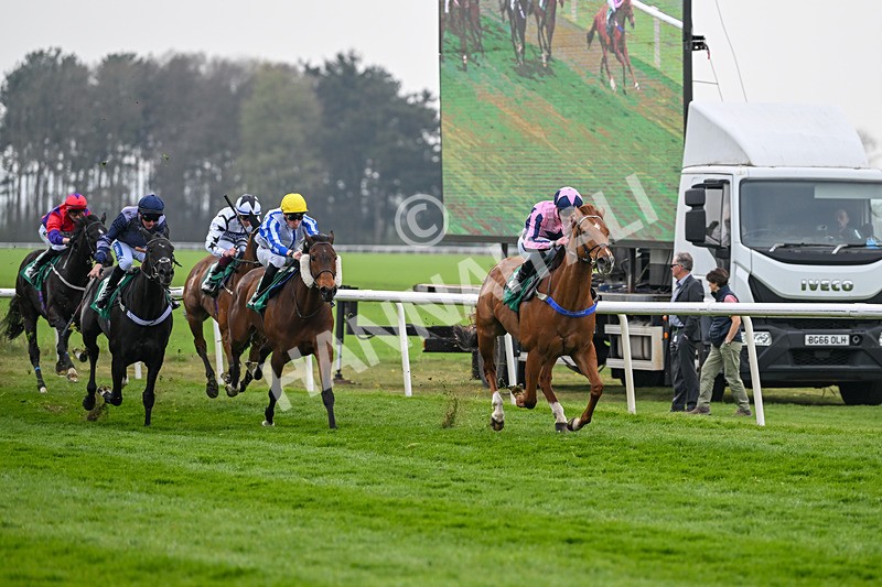 120425-Race 4-Alzahir-1138 - Race 4