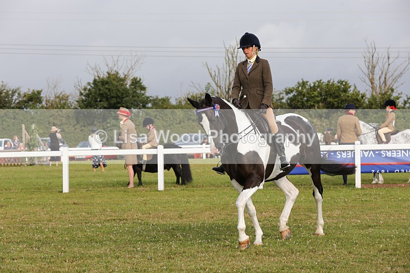 1X9A2891 - Class 25: Ridden Plaited Coloured Horse