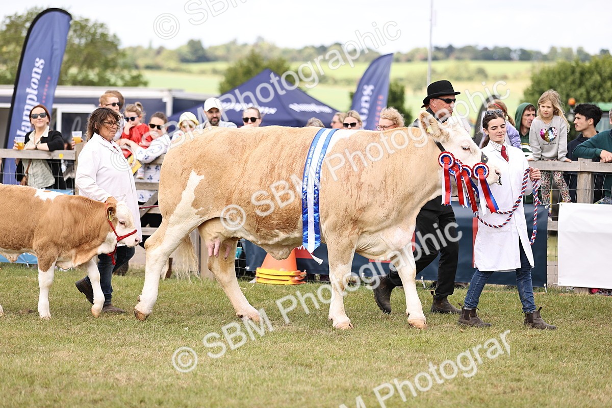 SBM_16876 - Grand Parade