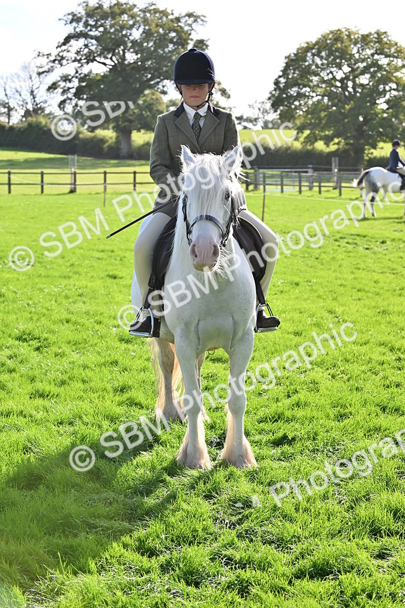 SBM_50355 - S21 - Novice & Newcomers First Ridden