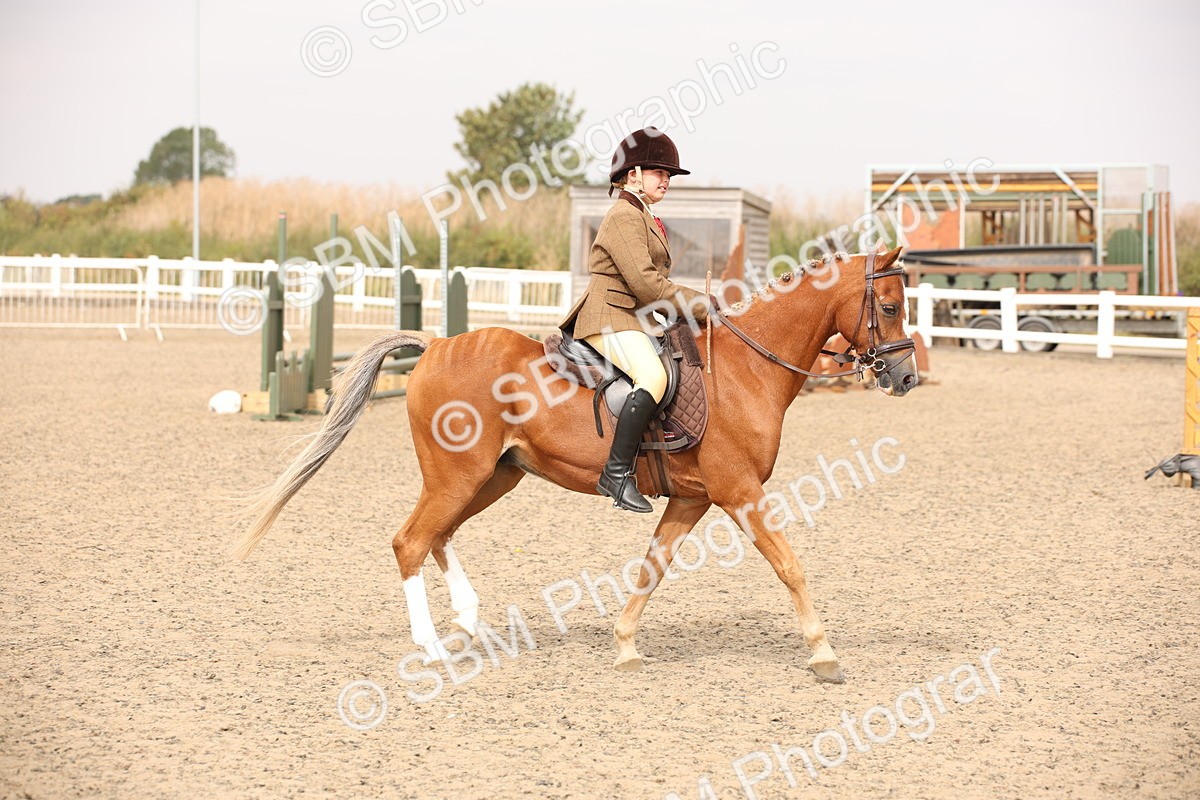 SBM_12610 - Class 405b - M&M Working Veteran 50cm 20+