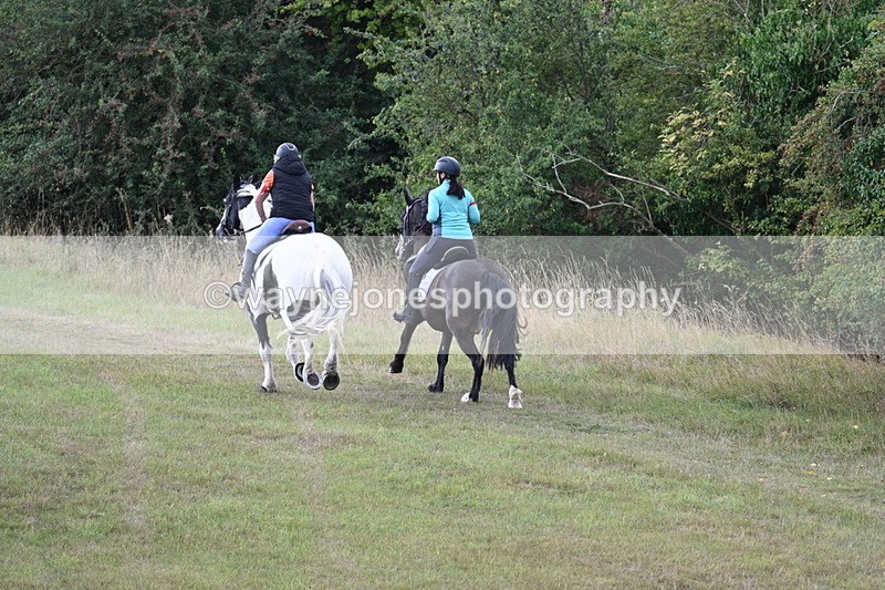 WJ7_5407 - Time 11:22 to 11:41