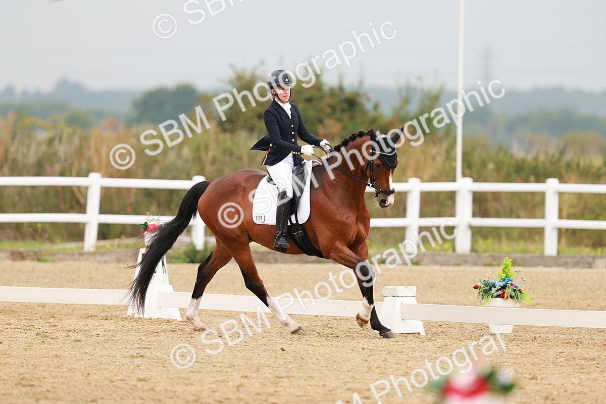 SBM_009208 - Class 12 - Elementary 6 - 10.50-11.50