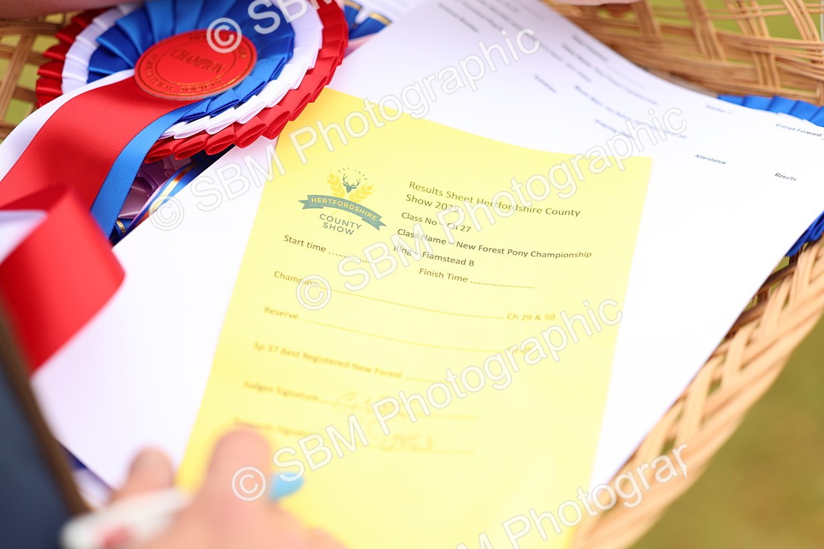 SBM_04306 - Class 64-67 - Shetland Pony In Hand