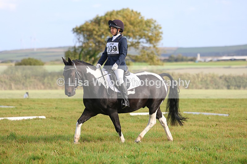3E7A5461 - Class 1: Trebudannon Open: Dressage