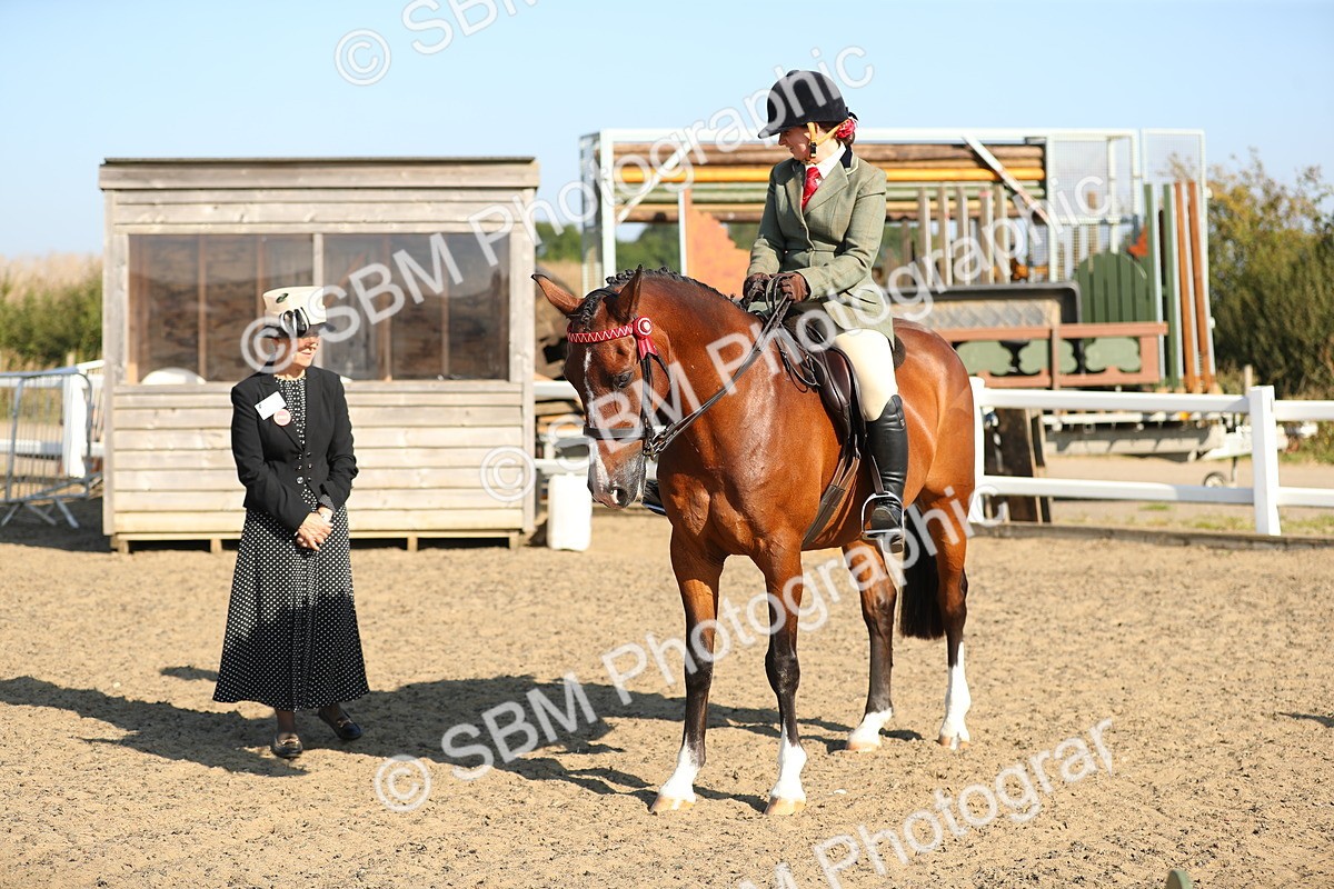 SBM_01202 - Class 42 Ridden Veteran