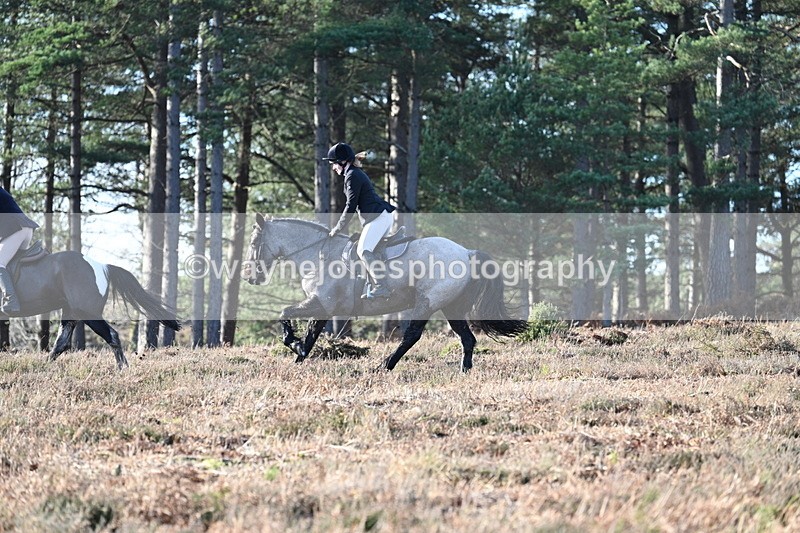 WJ7_7093 - Line 3 (no line 4 or 5)