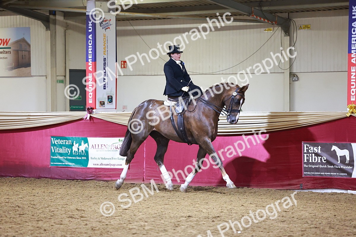 SBM_15009 - Class N - Side Saddle Champ