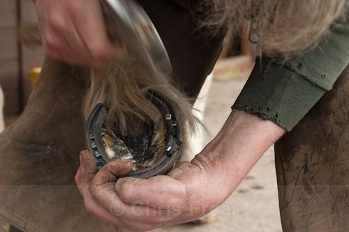 9 - The Farrier