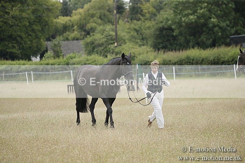 B230619-0531 - Bourne Valley Riding Club Summer Show 23/06/19
