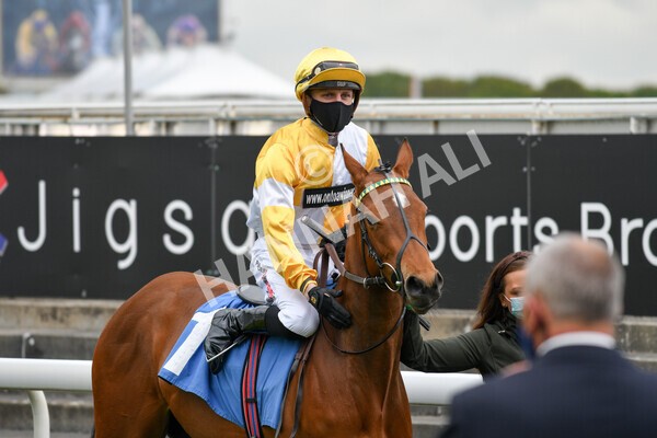 yr14052021r1-6 - Race 1 1.40pm Langleys Solicitors British EBF Marygate Fillies' Stakes