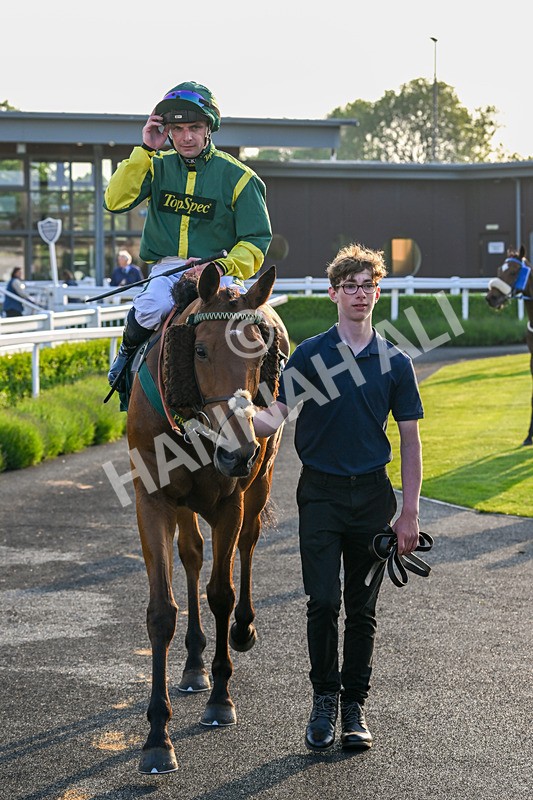 310524-Race 3-Lord Torranaga-8725 - Race 3