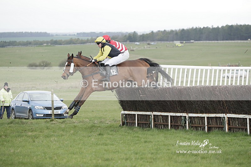 PtP 260323 0592 - New Forest Hounds Point-to-Point Larkhill 26/03/23