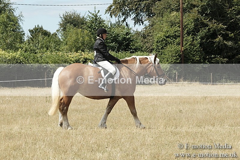 _PJP6048 - BVRC Show 2018 Ring 1