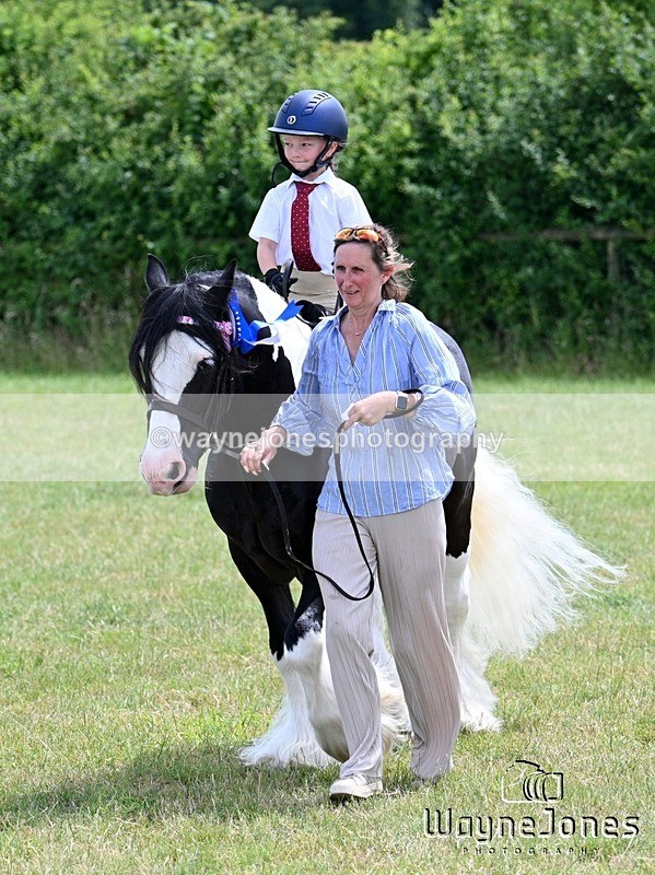WJ7_8306 - Nancy And Churchill SORC summer show 21-06-26