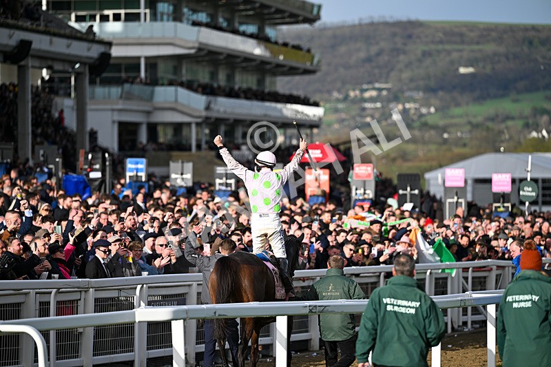 130326-Race 5-Gaelic Warrior-2804 - 13th March