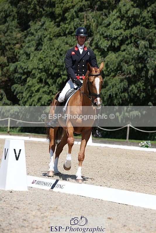 230526-140228-06444 - 370-DUKE_LEGACY-William_Fox-Pitt-WEDTrotUp+DR