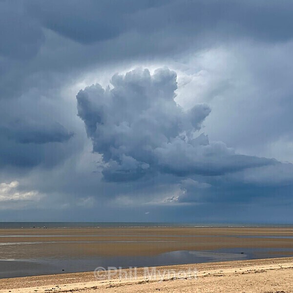 PhotoMynottART072 - Photo Mynott ART Images