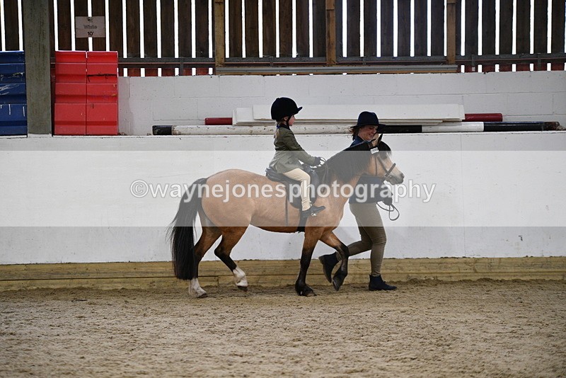 WJ5_6698 - Class 10 Childs Pony