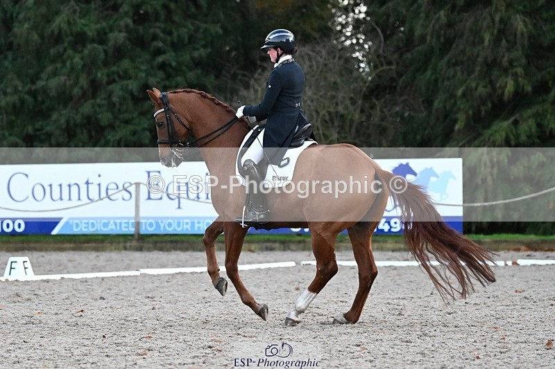 231110-164051-02734 - Cls 14 FEI Grand Prix