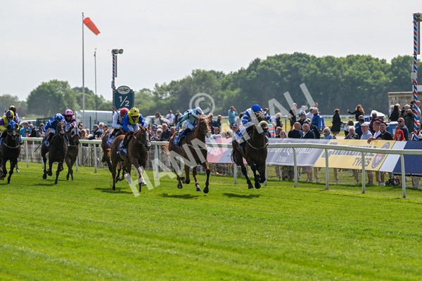 140525-Race 1-Almoshher-1547 - Race 1 2.10pm Sky Bet Race To The Ebor Jorvik Handicap