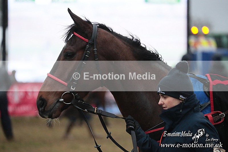 PtP 260125 966 - Cocklebarrow Point-to-Point racing with the Heythrop Hunt 26/01/25