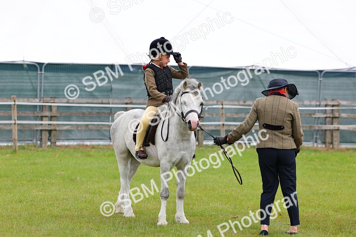 SBM_08215 - Class 42-43 - LIHS BSPS Heritage Working Sports Pony