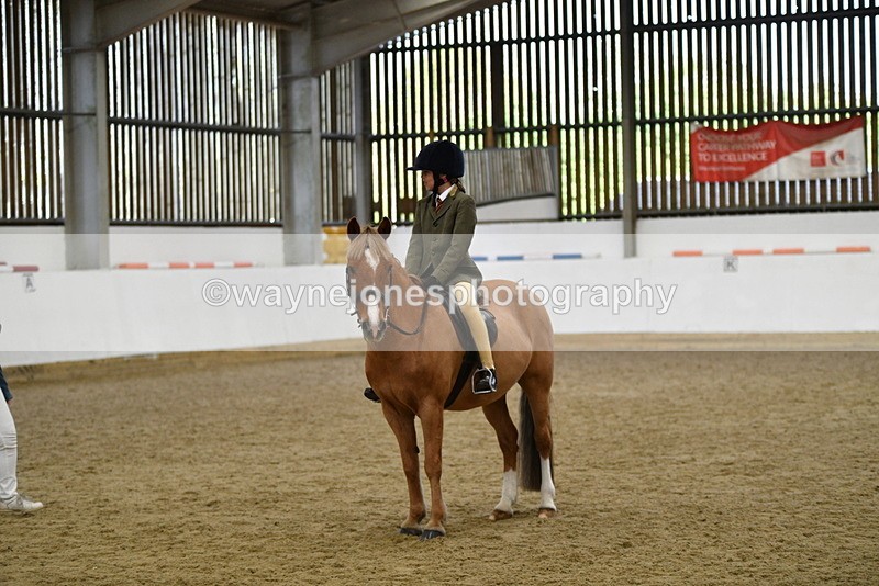 WJ5_6222 - Class 9 Ridden Veteran