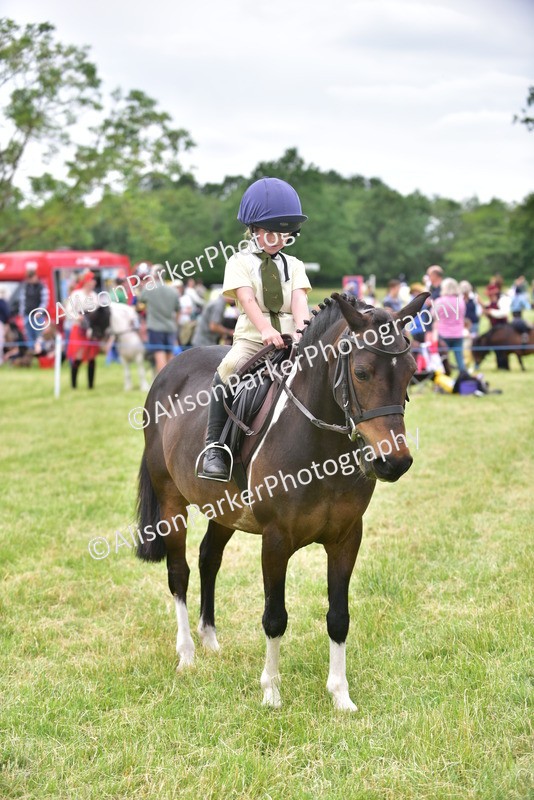 20260614-2700 - Class 13 - Pony Club Pony