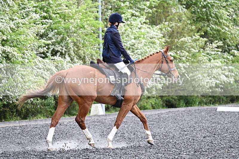 WJ7_0740 - Time 14:01 to 14:12