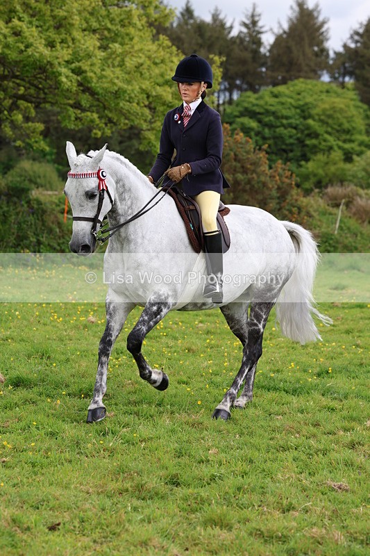 3E7A2098 - Class 11: Ridden Arab