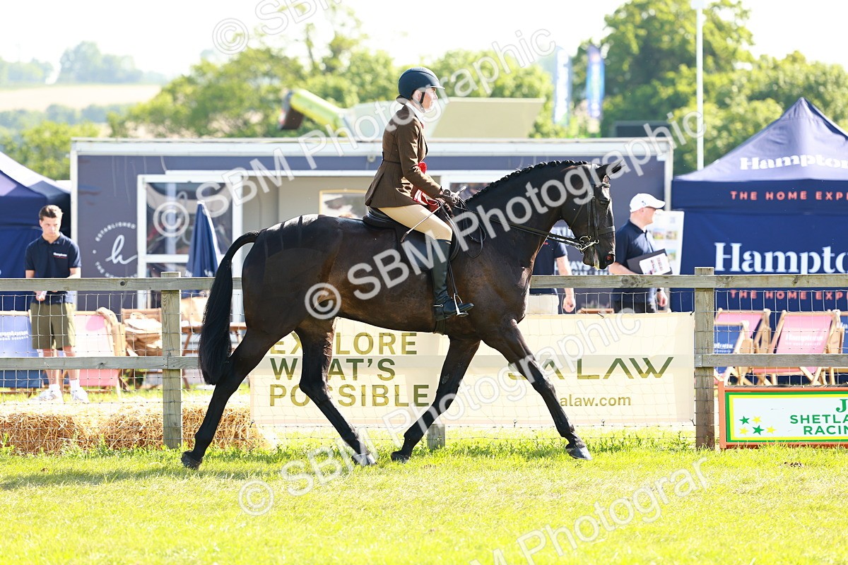 SBM_11889 - Class 66-69 - RIHS Ridden Hunters Inc Small Hunter