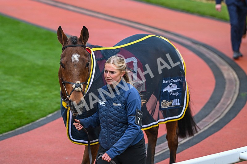 151124-Race 4-Paddock-Fameaftertheglory-7926 - Race 4