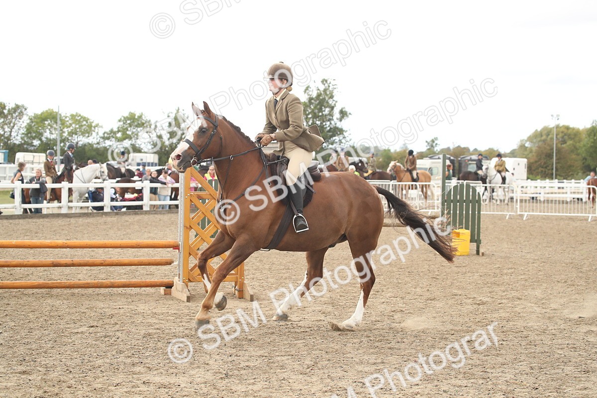 SBM_17746 - Class 508a - Working Veteran 70cm (15-19)