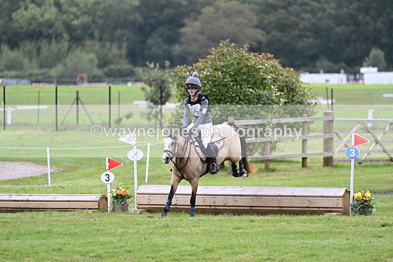 WJ7_8893 - 60cm Time 12:31 to 12:50